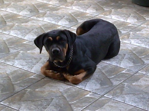 preciosa mi muñeca preciosa mi muñeca